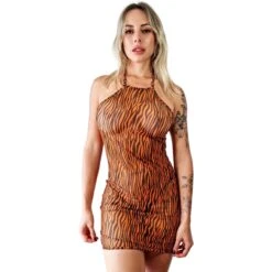 Bengal One-Piece Sheer Dress