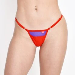 Mirage Red Micro Bikini With Sheer Purple Mesh Panels -Hot Bikini Sexy Shop Sunset Mirage Micro Bikini with Side Adjustable V String Bottom Front View