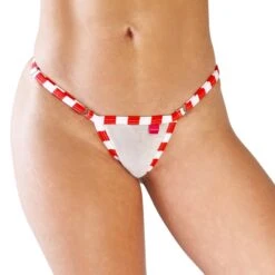 Candy Cane Sheer Bikini -Hot Bikini Sexy Shop image 123986672 49 scaled 1